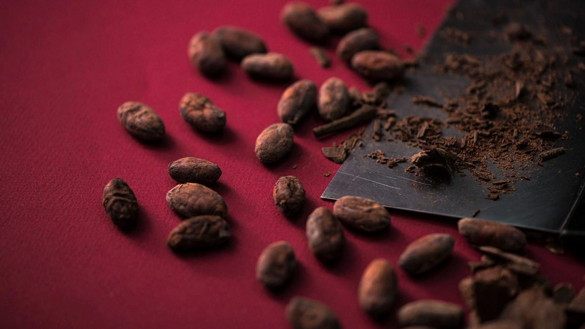 Crvena pozadina na kojoj se nalaze pečena zrna kakaoa