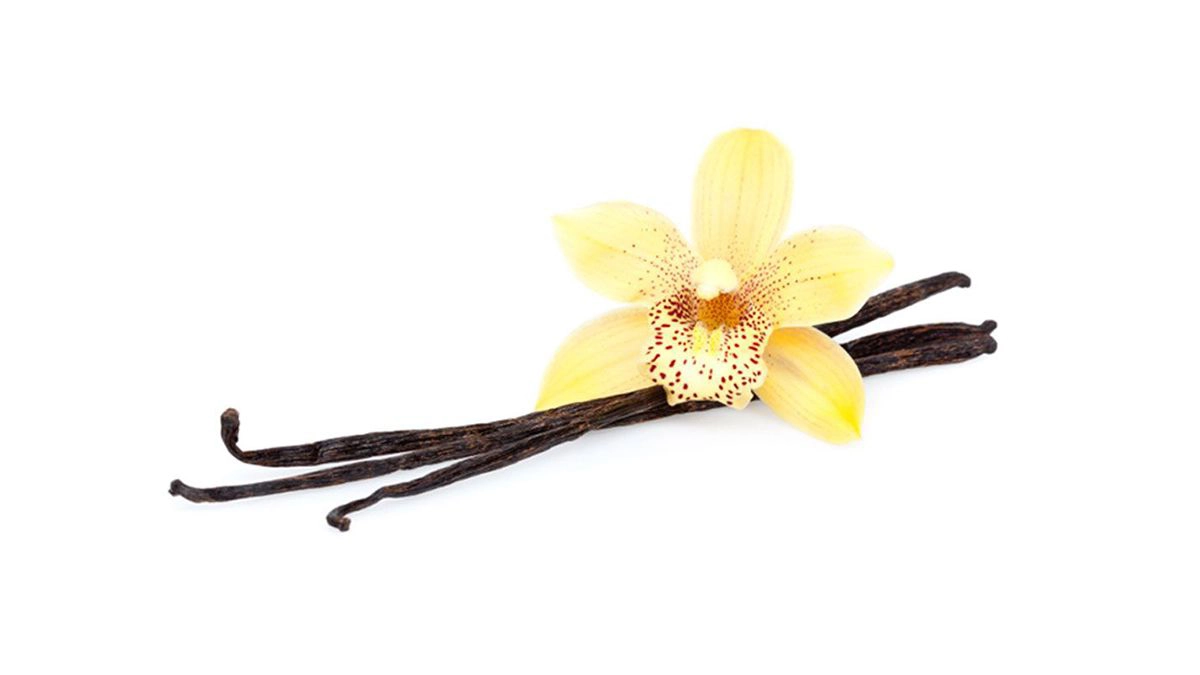 Fotografija cveta i mahuna vanile