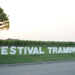 Vinograd sa natpisom Festival Traminca.