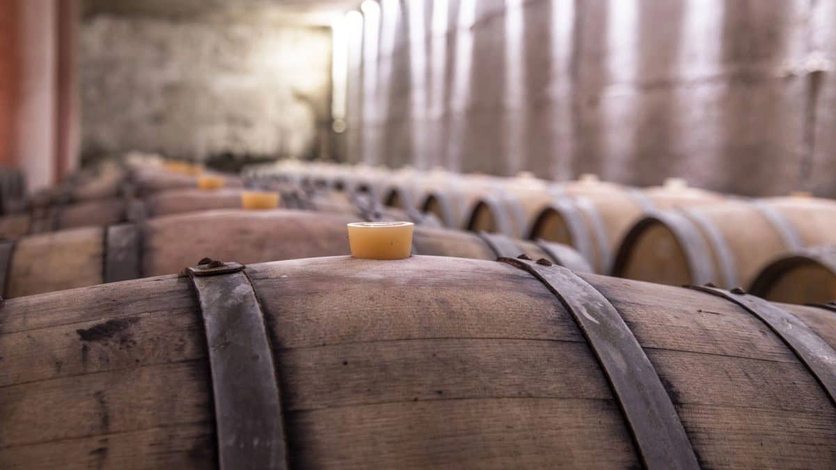 Podrum u kojem se nalazi puno buradi.